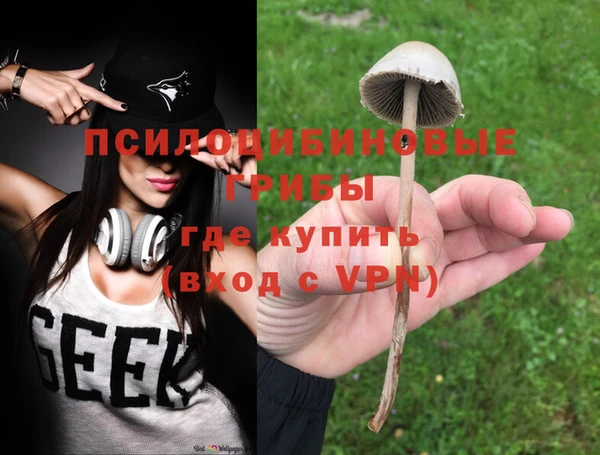 мескалин Алексеевка