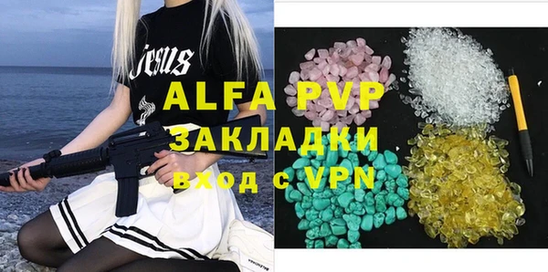 индика Алексин
