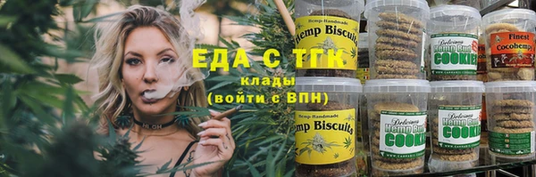индика Алексин