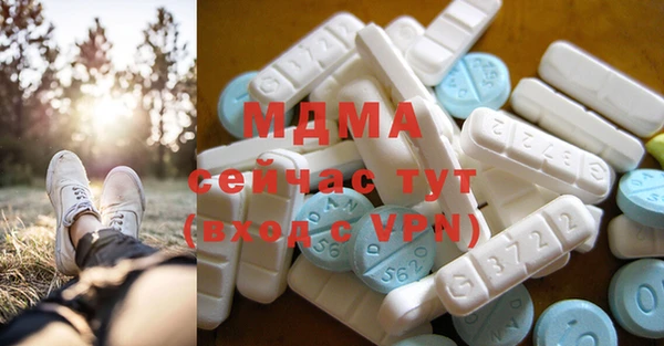 индика Алексин