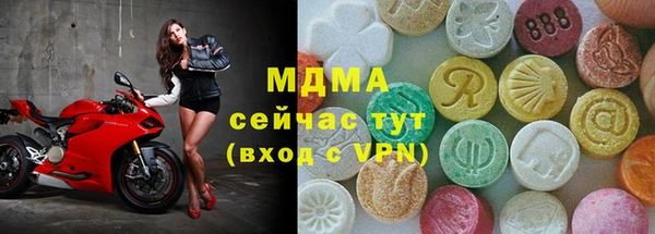индика Алексин
