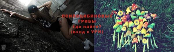 мяу мяу мука Алзамай