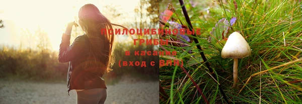 мяу мяу мука Алзамай
