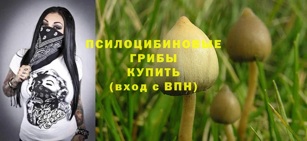 мяу мяу мука Алзамай