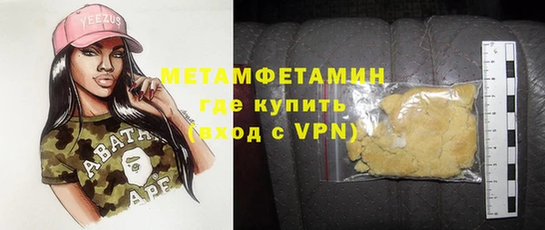 индика Алексин