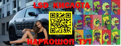 apvp Тулун