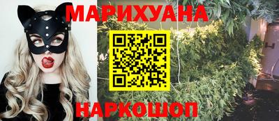 мдпв Тула