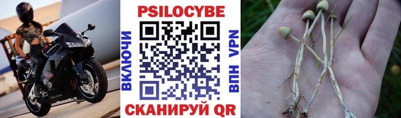 Галлюциногенные грибы мицелий  Санкт-Петербург 